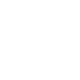 security management white